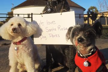 Northwest Community Dog Park